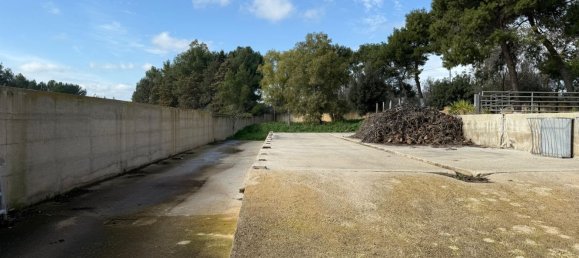 6-salle Villa à San Vito dei Normanni, Italy No. 175630 3