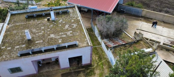 6-salle Villa à San Vito dei Normanni, Italy No. 175630 23