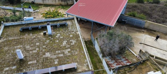 6-salle Villa à San Vito dei Normanni, Italy No. 175630 16