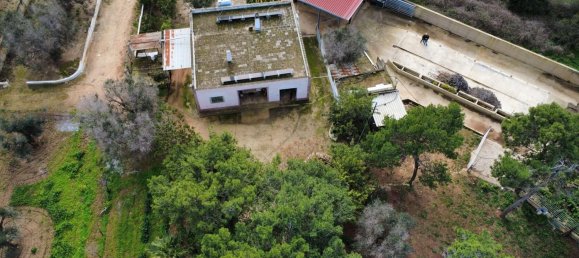 6-salle Villa à San Vito dei Normanni, Italy No. 175630 26