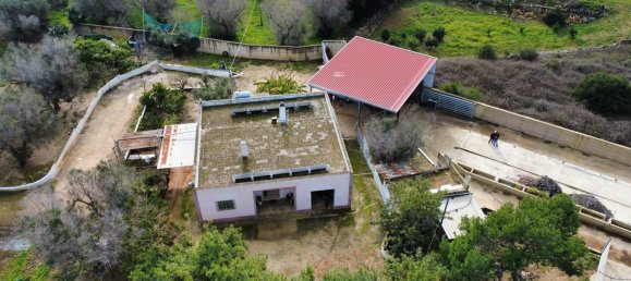 6-salle Villa à San Vito dei Normanni, Italy No. 175630 24