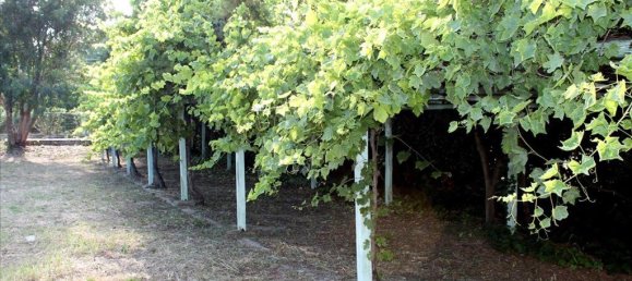 730m² Townhouse in Chalkidiki, Greece No. 2797 22