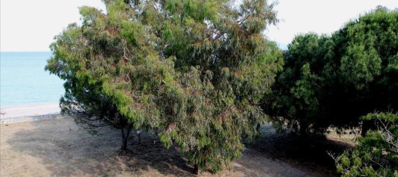 730m² Townhouse in Chalkidiki, Greece No. 2797 13