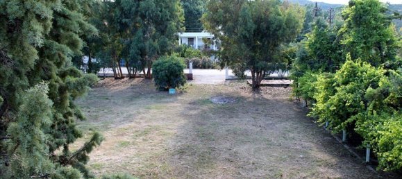 730m² Townhouse in Chalkidiki, Greece No. 2797 10