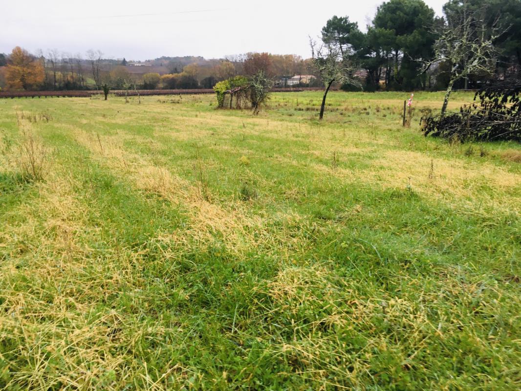  Land in Gauriaguet, France No. 113781