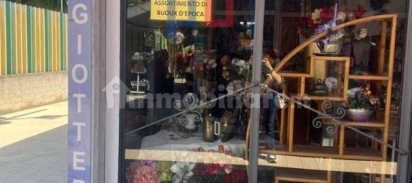 2 rooms Commercial property in Rome, Italy No. 355016 6