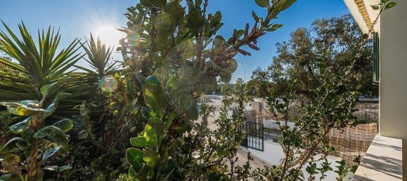 6 غرف نوم منزل في Alcacer do Sal, Portugal رقم 18310 6