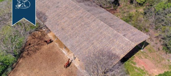 9 chambres Propriété commerciale à Ischia di Castro, Italy No. 381075 4