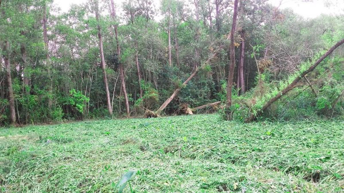 Grundstück in Tigre, Argentina, Nr. 116577