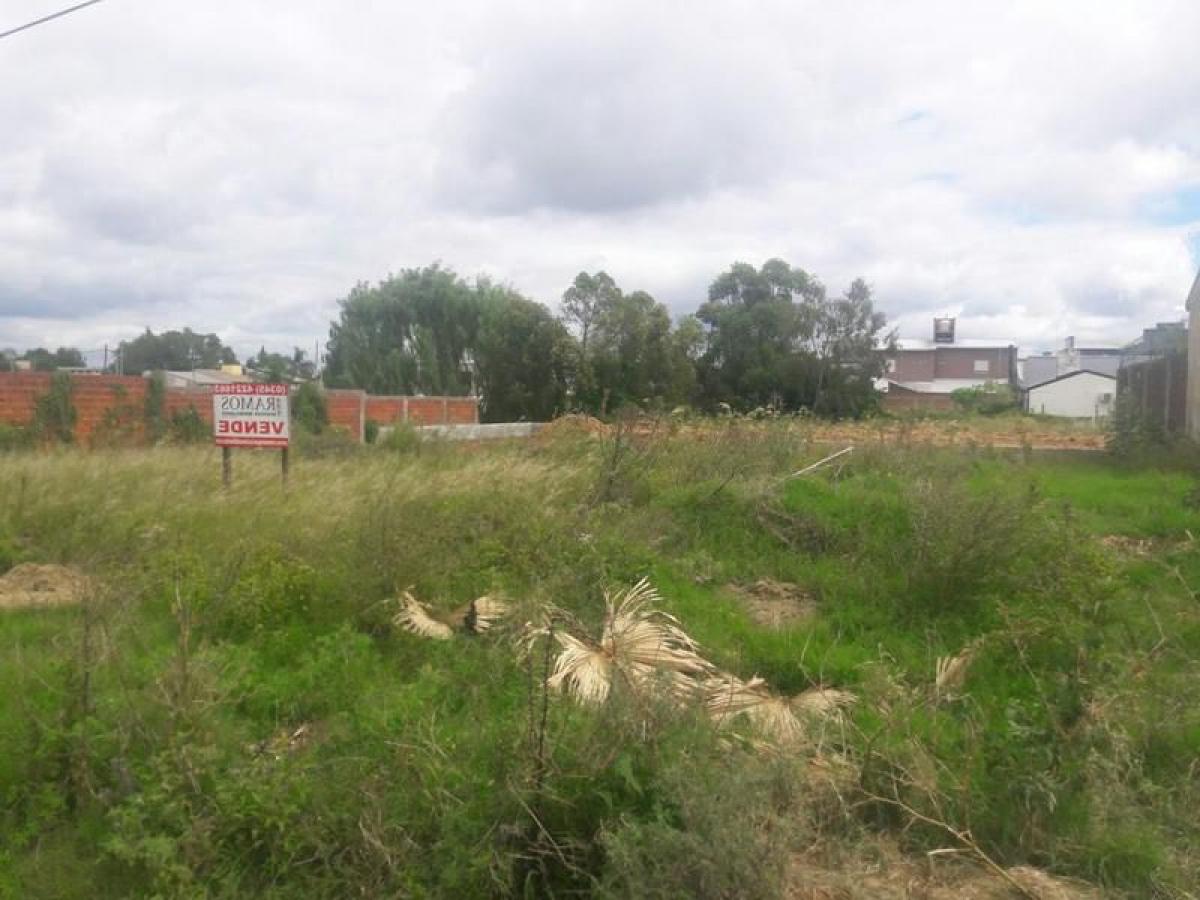  Land in Entre Rios, Argentina No. 33409