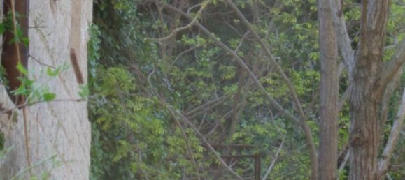 Gebäude in Cagli, Italy 1000m², Nr. 374535 29