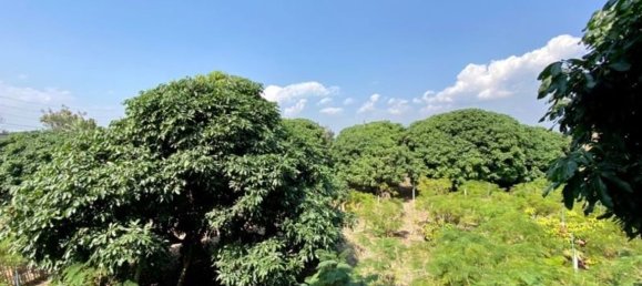 3 bedrooms House in Chiang Mai, Thailand No. 27045 5