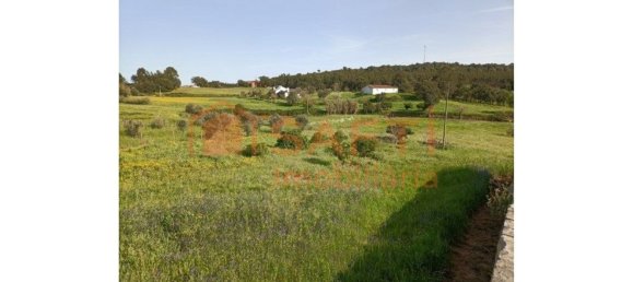 6 bedrooms House in Alcanede, Portugal No. 146400 7