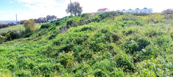 Grundstück in Santiago do Cacem, Portugal 5018m², Nr. 245121 8