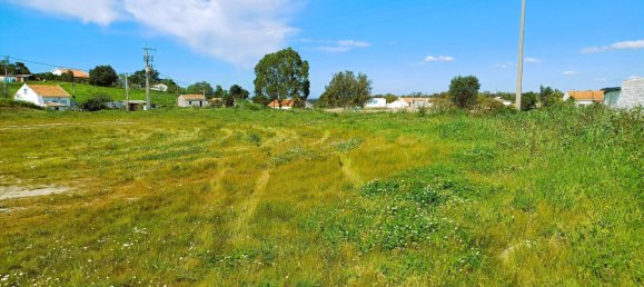 Grundstück in Santiago do Cacem, Portugal 5018m², Nr. 245121 12