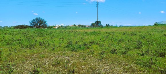 Grundstück in Santiago do Cacem, Portugal 5018m², Nr. 245121 6