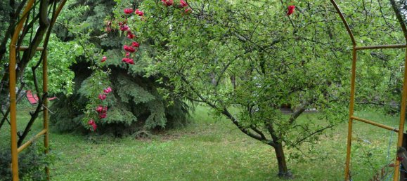 6 rooms House in Wiener Neustadt, Austria No. 160032 33