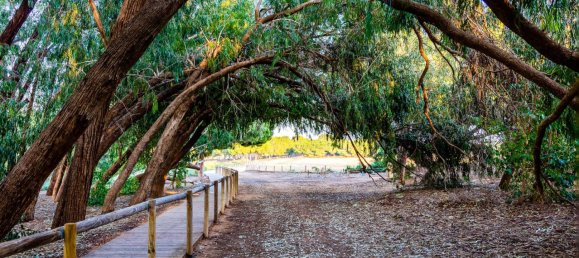 2 Schlafzimmer Bungalow in Ciudad Quesada, Spain, Nr. 91003 48