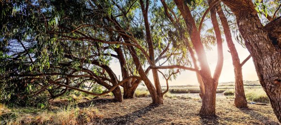2 Schlafzimmer Bungalow in Ciudad Quesada, Spain, Nr. 91003 50