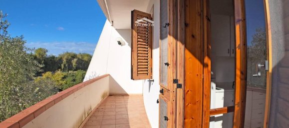 3 rooms Apartment in Melendugno, Italy No. 27092 24