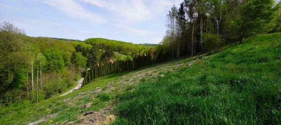 Земельный участок 1639м² в Альтленгбах, Австрия № 163331 4