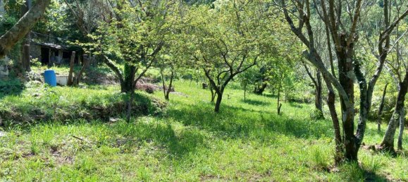 10-Zimmer Haus in Avegno, Italy, Nr. 68037 17