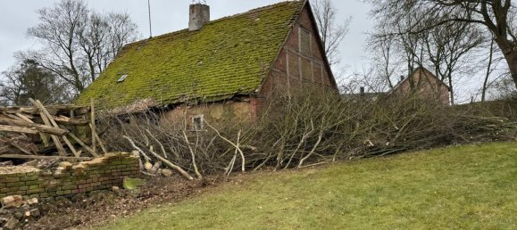  Land in Munster, Germany No. 243753 5