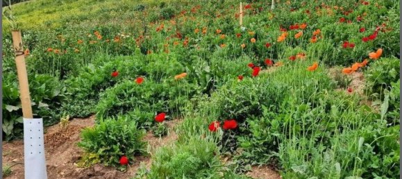  Land in Arcos de la Frontera, Spain No. 150207 4