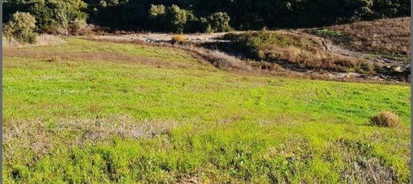  Land in Arcos de la Frontera, Spain No. 150207 8