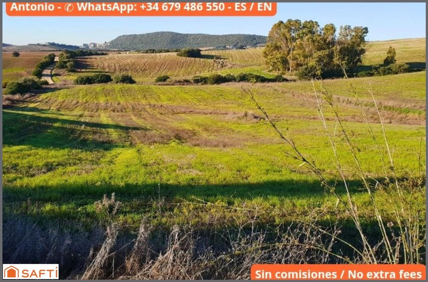  Land in Arcos de la Frontera, Spain No. 150207