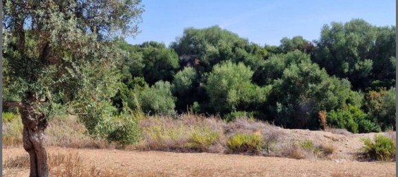  Land in Arcos de la Frontera, Spain No. 150207 6