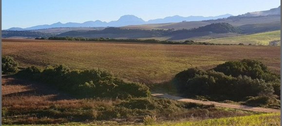  Land in Arcos de la Frontera, Spain No. 150207 9