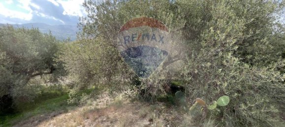 1 غرف نوم فيلا في Bolognetta, Italy رقم 52305 18