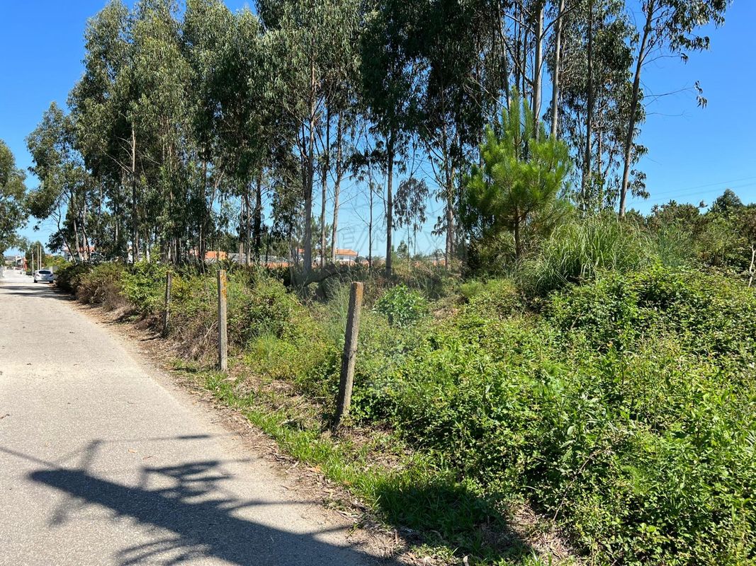 Terrain à Povoa de Varzim, Portugal 3450m² No. 59039