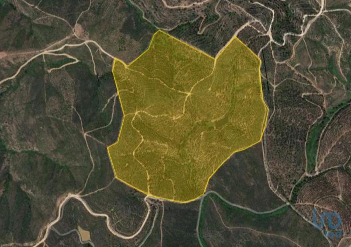  Land in Silves, Portugal No. 8478