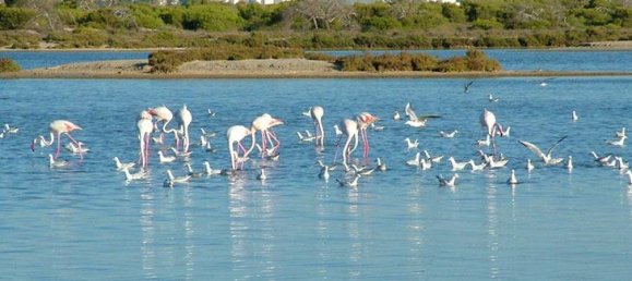 3 chambres Villa à Las Esperanzas, Spain No. 7043 12