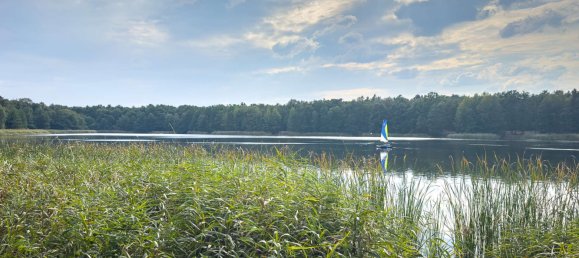 4 bedrooms House in Brandenburg, Germany No. 63904 38