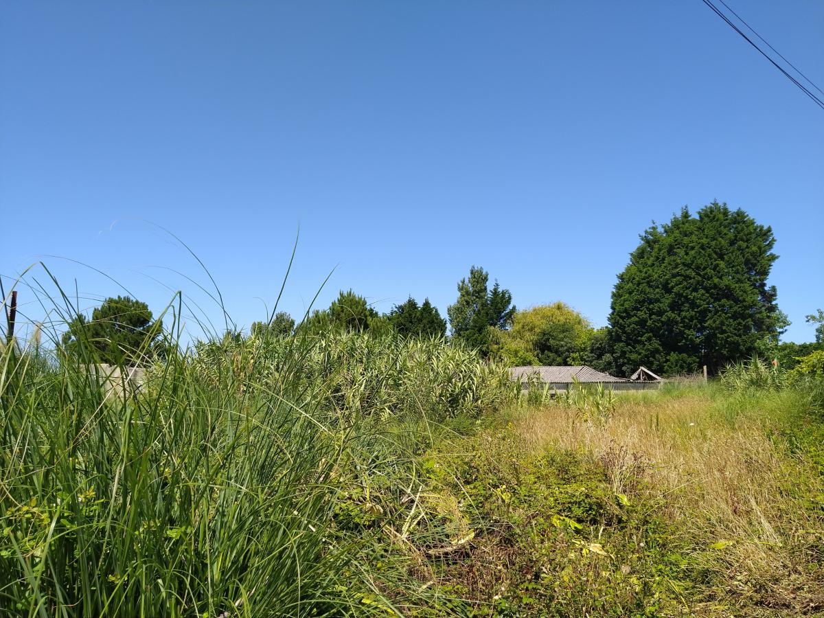 Terreno en Vila Nova de Gaia, Portugal No. 9216