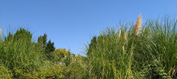 Terreno en Vila Nova de Gaia, Portugal No. 9216 6