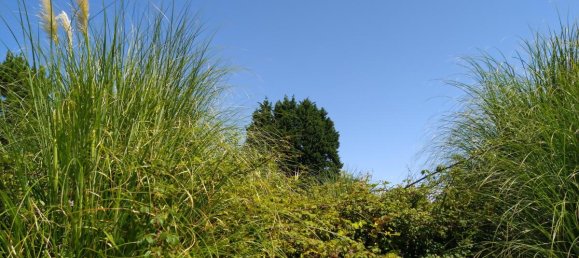 Terreno en Vila Nova de Gaia, Portugal No. 9216 4