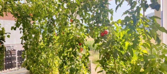 7غرفة عقار تجاري في Feldkirchen in Karnten, Austria رقم 234396 38