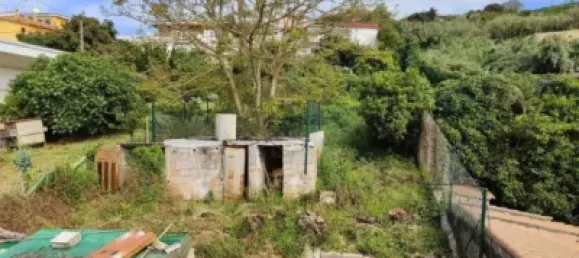 Adosado de 2 dormitorios en Tacoronte, Spain No. 169793 16