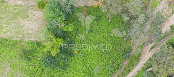 1210m² Land in Geme, Portugal No. 43478 7