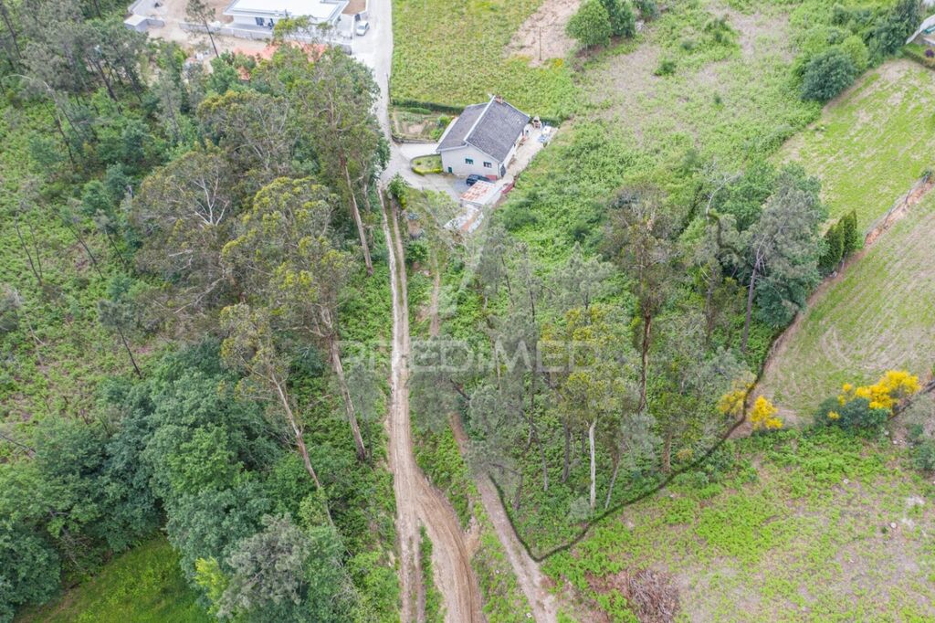 1210m² Land in Geme, Portugal No. 43478