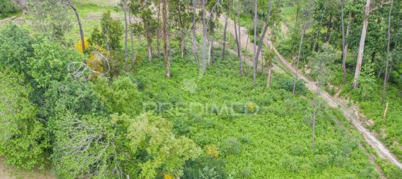 1210m² Land in Geme, Portugal No. 43478 8