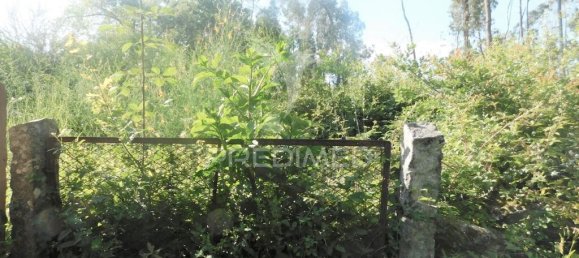 1210m² Land in Geme, Portugal No. 43478 2