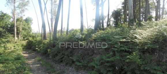 1210m² Land in Geme, Portugal No. 43478 6