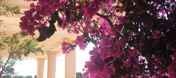 4 bedrooms House in Mutxamel, Spain No. 109631 12