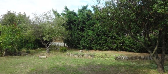 Terrain à Purbach am Neusiedler See, Austria No. 134593 3