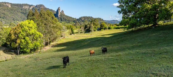 3 غرف نوم منزل في Nimbin, Australia رقم 210 21